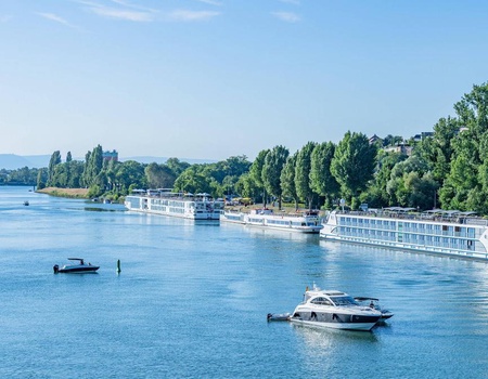 Camping Ile du Rhin - 3