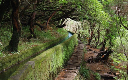 Circuit Au Coeur de Madère 4* - 4