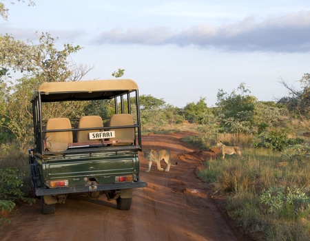 Circuit Canyons, safaris et pays Zulu - 2