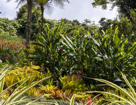 5 Jours guidés au Costa Rica : L'éclat de la Capitale 3* (Pension au Choix) - San Jose, Costa Rica - Image 3