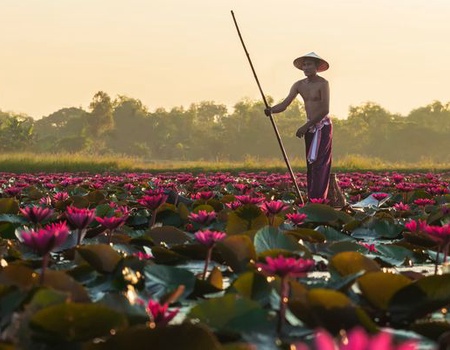 Immersion au Laos 12J/09N