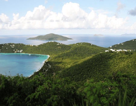 Combiné "Nature Islands" - Guadeloupe / La Dominique - Pointe à Pitre, Guadeloupe, Antilles - Image 5