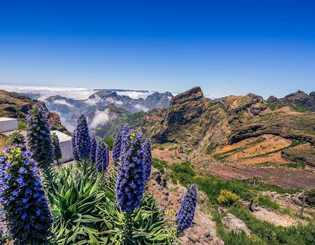 Road Trip Madère classique - 3