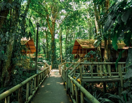 Escapade au Caraïbe - San Jose, Costa Rica - Image 2