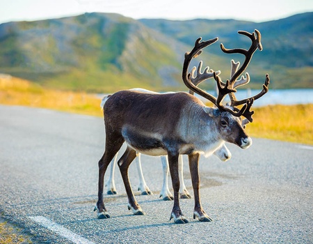 Circuit Regard sur la Norvège - 8 jours / 7 nuits - 4