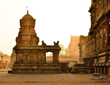 Circuit Privé, Parfum du Sud de l'Inde - 5