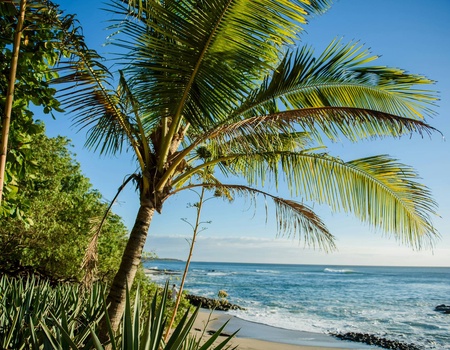 Combiné hôtels Loin du monde : séjour secret sur les rivages costaricains - 2