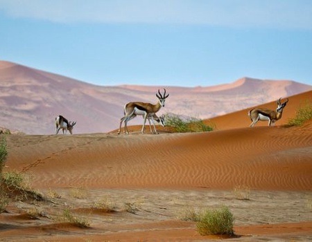 Splendeurs de Namibie et Séjour Chobe et Chutes Victoria 16J/13N - 4