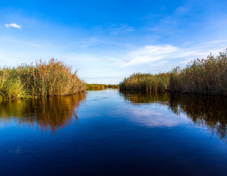 Circuit Des Chutes Victoria au Désert du Namib - 5