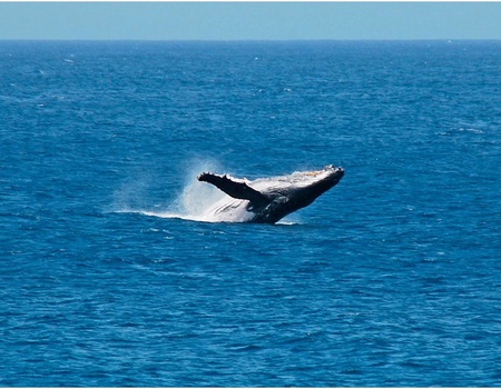 Circuit Échappée Capverdienne depuis le Riu Touareg 5* - arrivée Boavista - 3