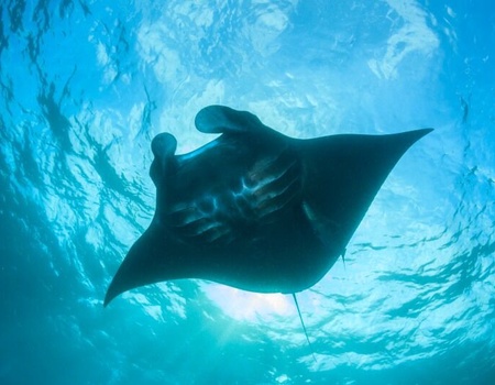 OP - Circuit Jet tours Signature - Bali, l’île aux mille offrandes - Limité à 10 pers. - 2