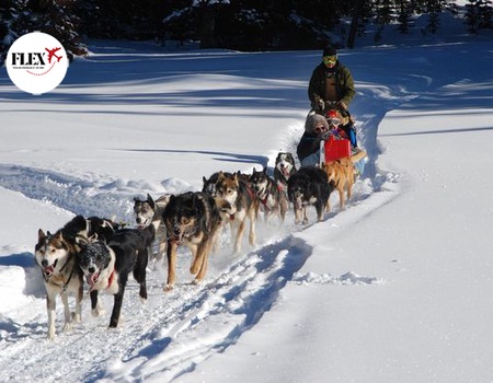 Splendeurs du Québec en hiver 8J/6N - 1