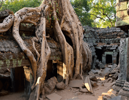 Circuit Vietnam en liberté et Temples d'Angkor - 1