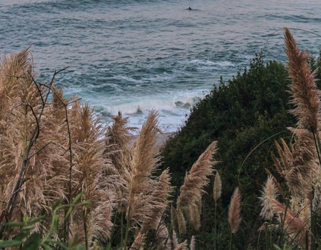 Wecamp San Sebastian, 3* - 2