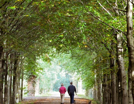 Week-end à Bagnoles de l'Orne, avec piscine chauffée - 4* - 1