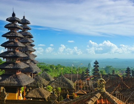 Circuit Découverte et détente à Ubud et Sanur - 2