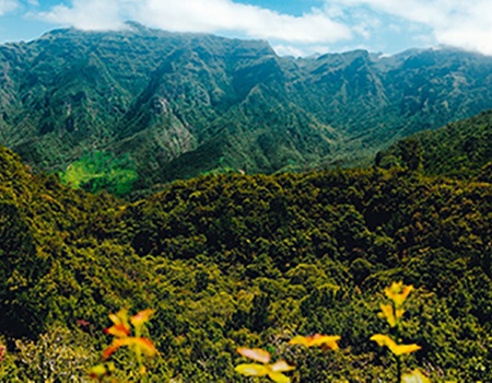 Circuit Madère Saveur Rando - 5