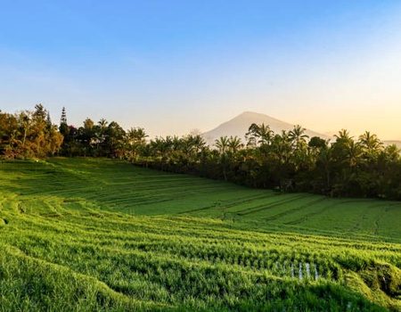 Circuit Traditions et culture balinaise en privatif et extension au Mövenpick Resort & Spa Jimbaran ***** - 5