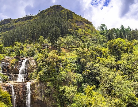 Circuit Les Incontournables du Sri Lanka et Extension Anantaya Resort & Spa 5*nl - 3