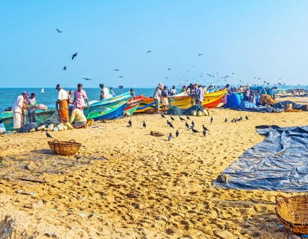 Combiné circuit et hôtel Intense Sri Lanka (collectif) & plage au Framissima Turyaa Kalutara **** - 1