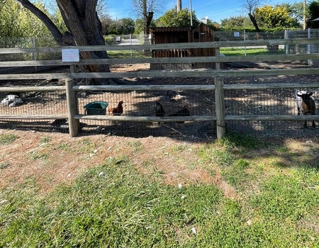 Camping Aqua 3 Masses, 3* - 4