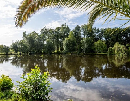 Camping maeva Respire La Comtesse 3* - Landes - Bélus, Atlantique Sud - Image 3