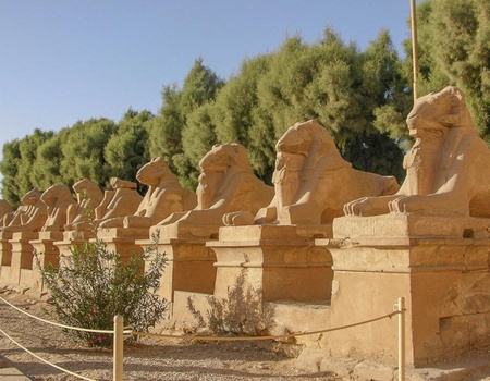 Duo Mon French Club - Croisière M/S Nile Azur 5* Premium avec en option 10 visites au prix de 05 visites et Movenpick Waterpark Resort & Spa Soma Bay - 4