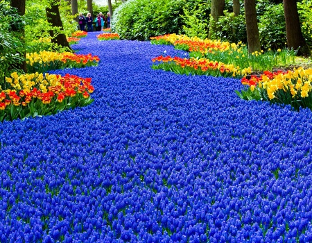 Séjourner dans le centre d'Amsterdam et visiter Keukenhof - 4* - 1