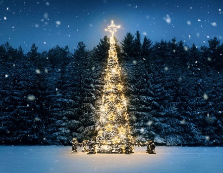 Plongez vous dans l´ambiance de Noël à Lille - 4* - Lille, Nord & Est - Image 1