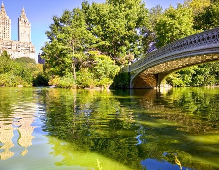 Circuit L'Essentiel de New York - 2