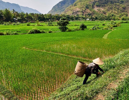 Circuit Paysages Majestueux du Nord au Sud du Vietnam et plage 16 nuits 4/5* - 5