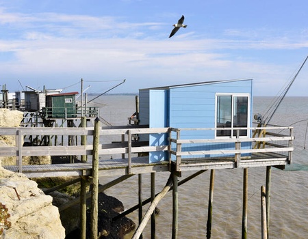 Camping Soleil Levant **** - - Meschers sur Gironde - Charente-maritime - Meschers-sur-Gironde, Atlantique Nord - Image 5