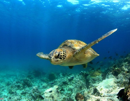 Circuit Des Andes d'Equateur aux îles des Galapagos - 5