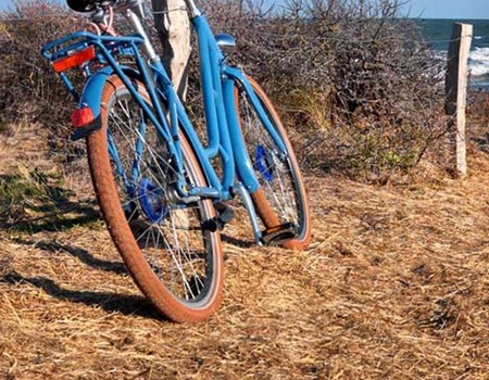 Camping du Petit Pont, 3* - 5