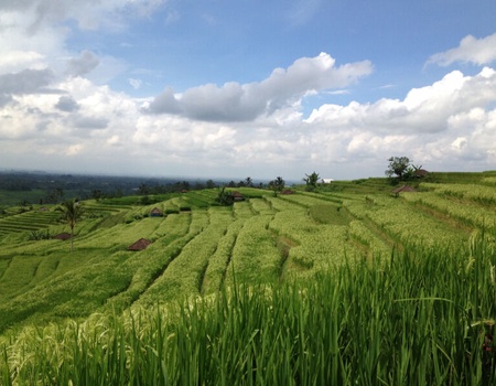 Magie Balinaise et Extension 4 Nuits - De Denpasar A Denpasar - 2