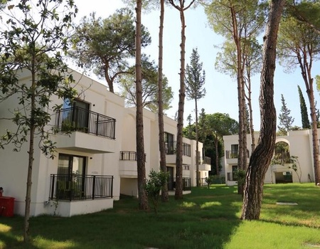 Kappa Club SIU Collection 5* - 4