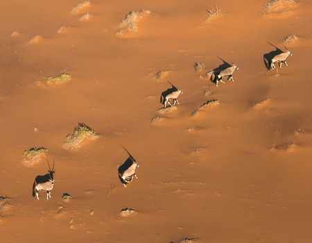 Autotour Sur les routes de Namibie **** - 2
