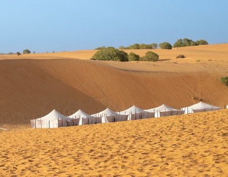 Circuit Les Oasis du Sénégal en privatif ***