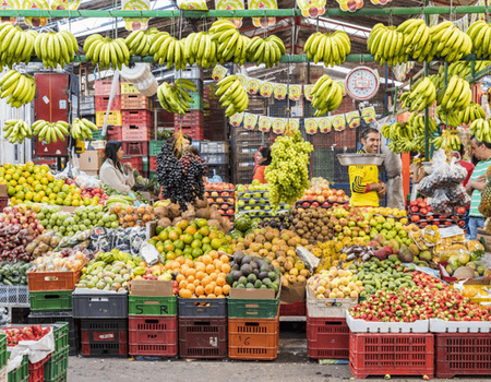 Circuit Viva Colombia ! **Nouveauté 2026** - 4