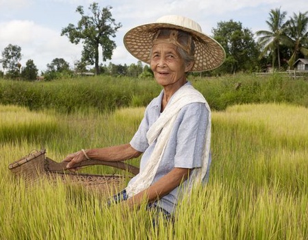 Immersion au Vietnam 14J/11N - 2025 - 1