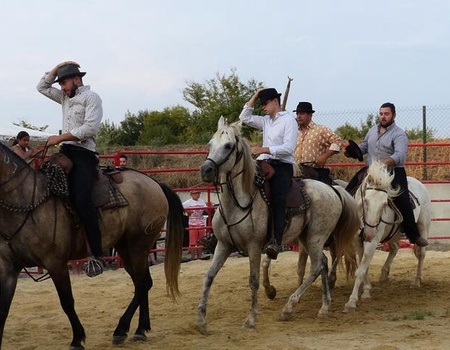 Camping Le Camarguais 4*- Maeva - On aime - Lattes, Languedoc Roussillon - Image 5