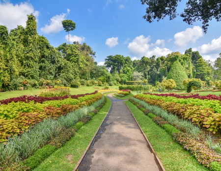 Circuit Le Royaume des Eléphants et plage en privatif - 5