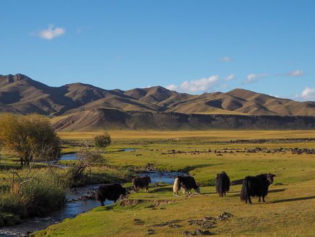 Circuit Immersion en Mongolie - Festival du Naadam - 12J/09N - 5