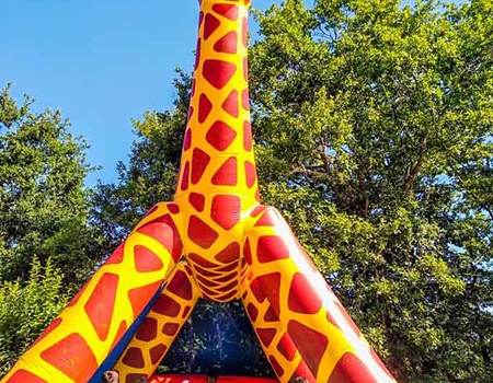 Camping Le Lac aux oiseaux - 2