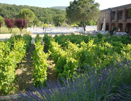 Escapade culinaire dans le Luberon - 3* - 2