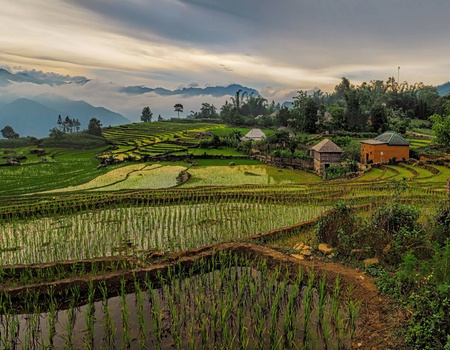Circuit L'essence de l'Orient : de la baie d'Halong aux terres sacrées du Laos **** - 1