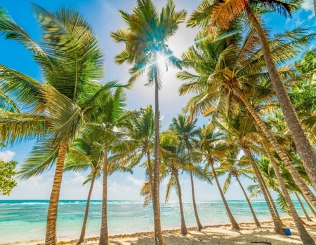 Combiné "Nature Islands" - Guadeloupe / La Dominique - Pointe à Pitre, Guadeloupe, Antilles - Image 1