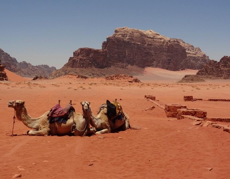 Circuit Aux Royaume des Hachémites 3* - 2