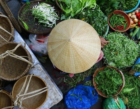 CIRCUIT LE VIETNAM EN LIBERTE SUPERIEUR - 1