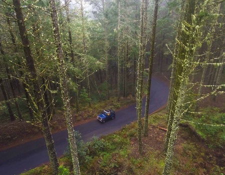 Circuit Échappée active à Madère depuis l'hôtel Dreams Madeira Resort Spa & Marina5* - 3